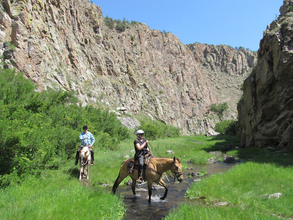 taylor creek canyon geronimo trail guest ranch